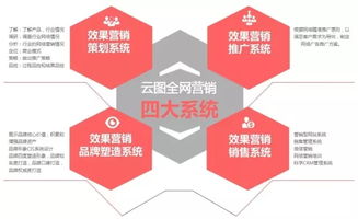 鄭州網(wǎng)絡營銷外包、網(wǎng)站托管與企業(yè)管理咨詢 一站式企業(yè)增長解決方案