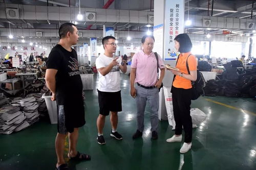 江蘇臺攝制組聚焦大龍，專題片攝制展現獨特風采